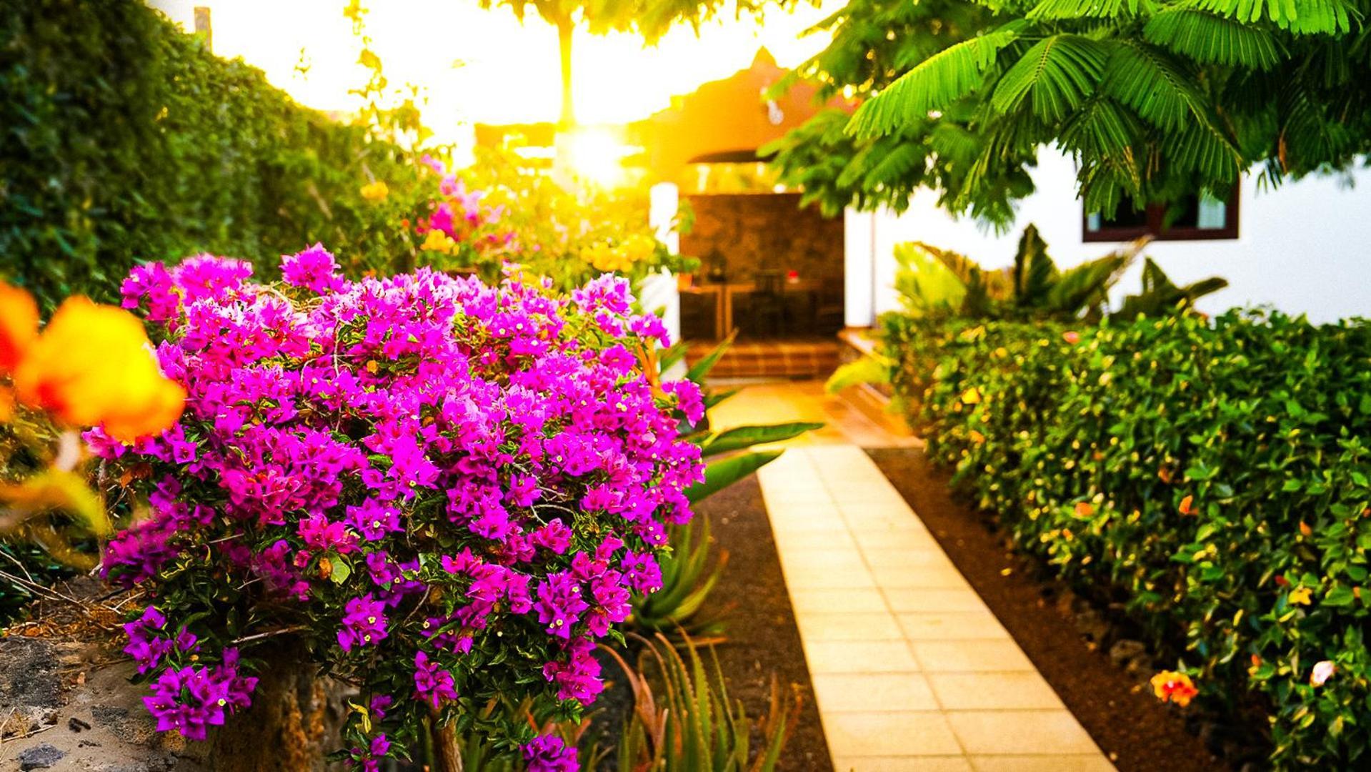 Villa Azul Fuerteventura Villaverde  Exteriör bild