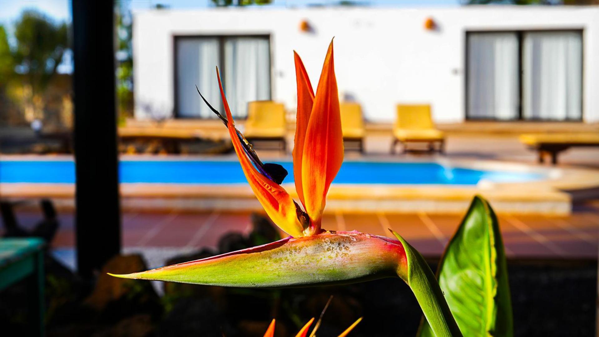 Villa Azul Fuerteventura Villaverde  Exteriör bild